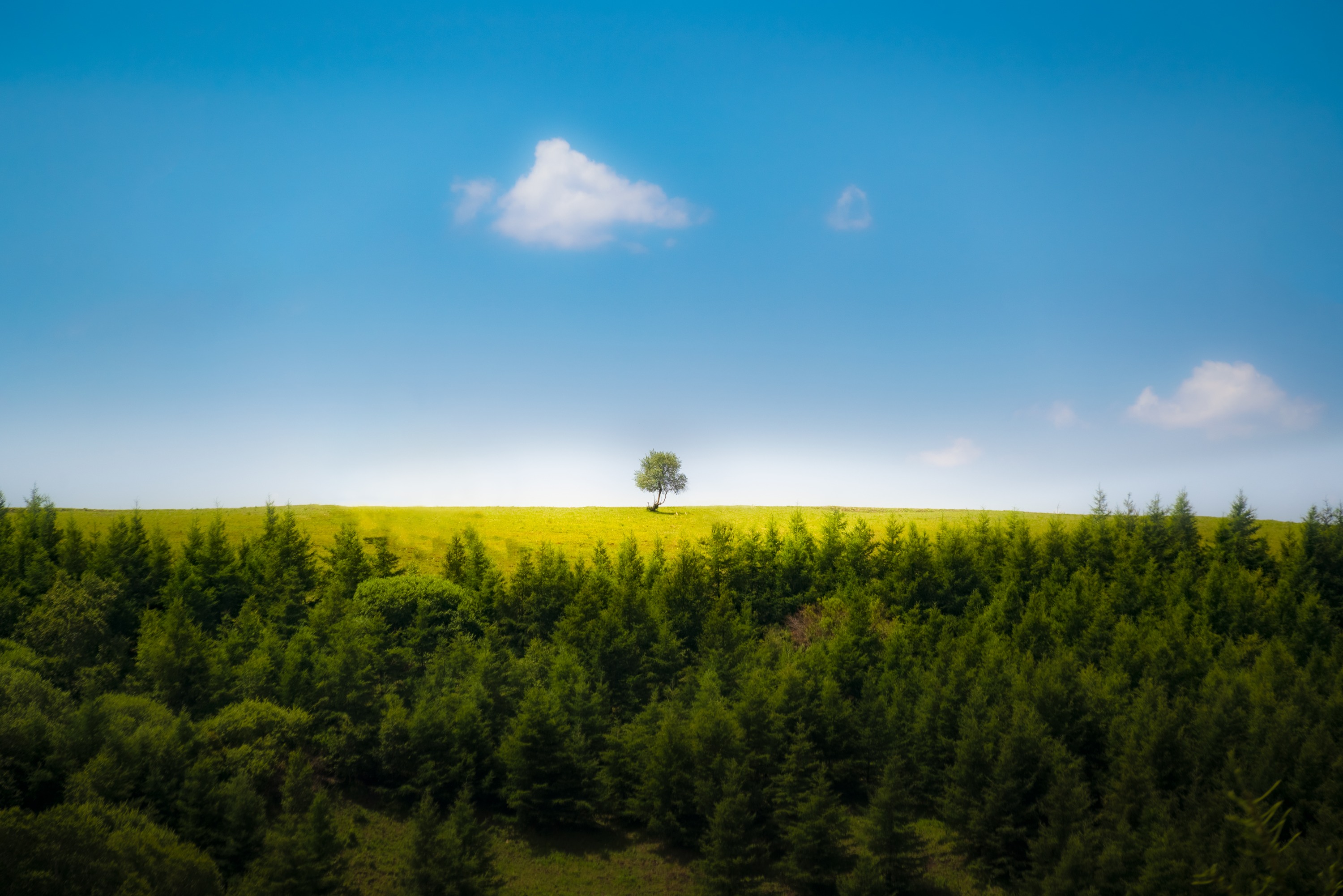 Nature & Landscape 3
